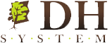 logo dhsystem2